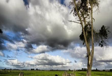 世预赛-国足球员：太久没赢球了 流泪是情绪的释放.