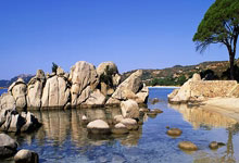 拉斯维加斯：WTT重庆冠军赛：王楚钦完胜莫雷加德 国乒女单包揽四强.